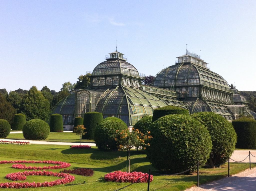 Palmenhaus in Schönbrunn 2