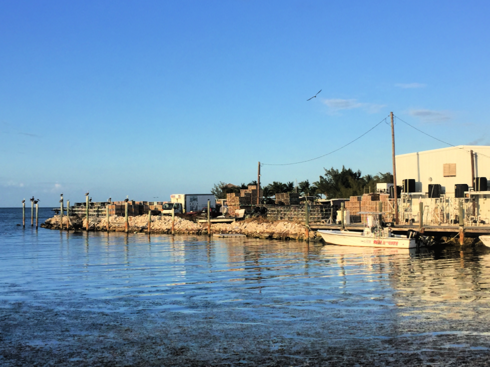 The marina in Keys Fisheries