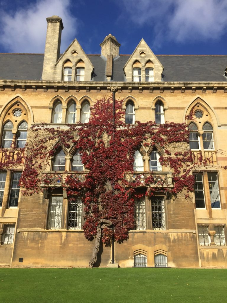Vine on a building