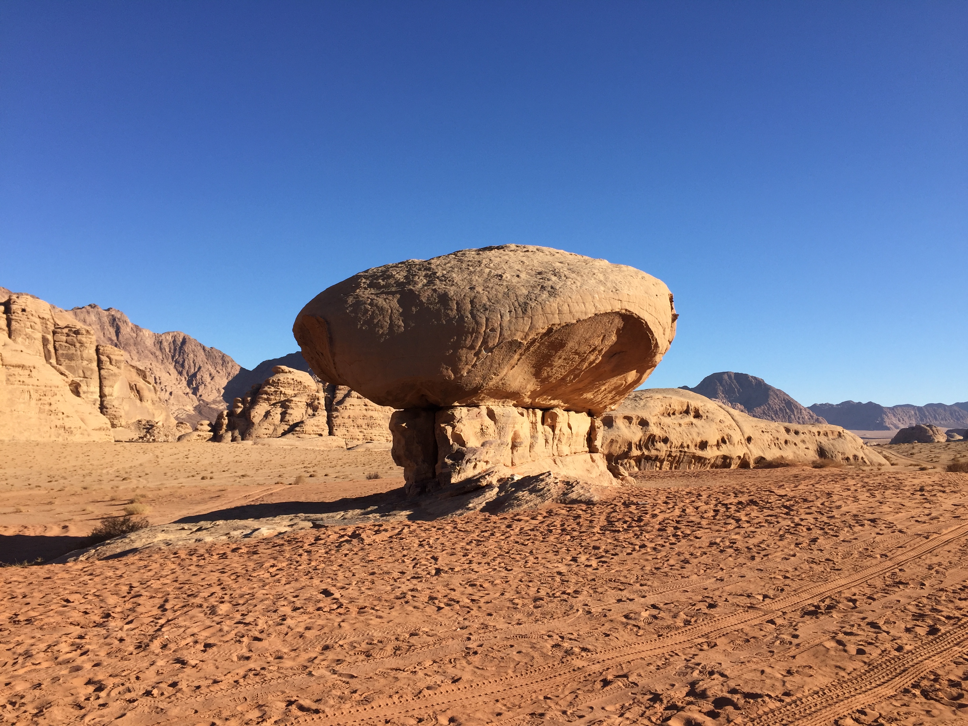 A surreal rock-shaped tree