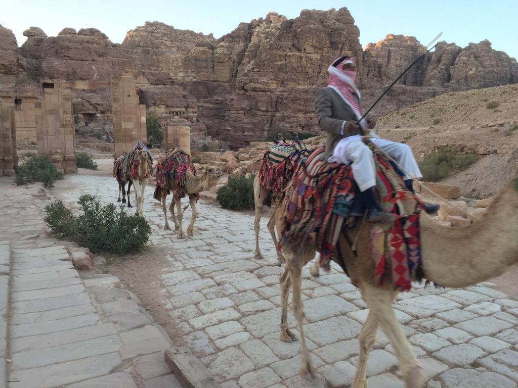 More camels