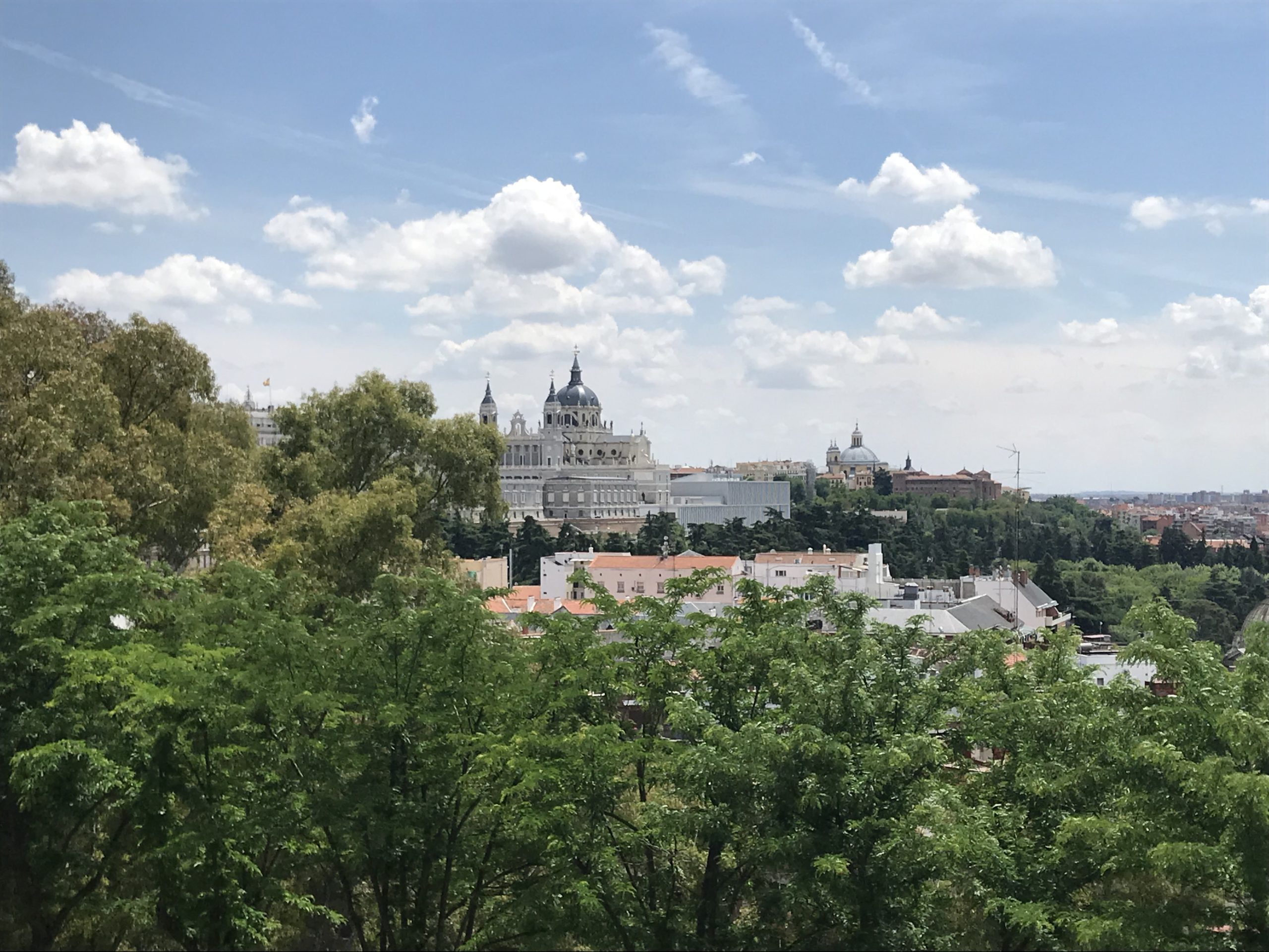 The view of the Almudena Cathedral from the Temple of Debod