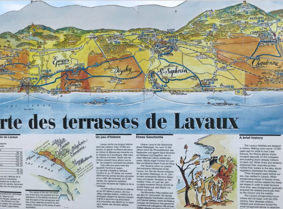 A map of the Lavaux Vineyard Terraces