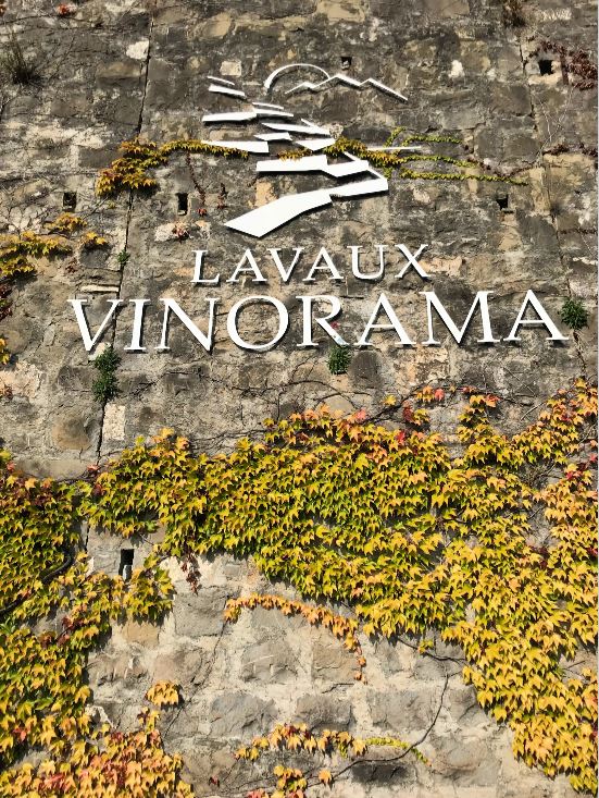 Lavaux Vinorama in Rivaz