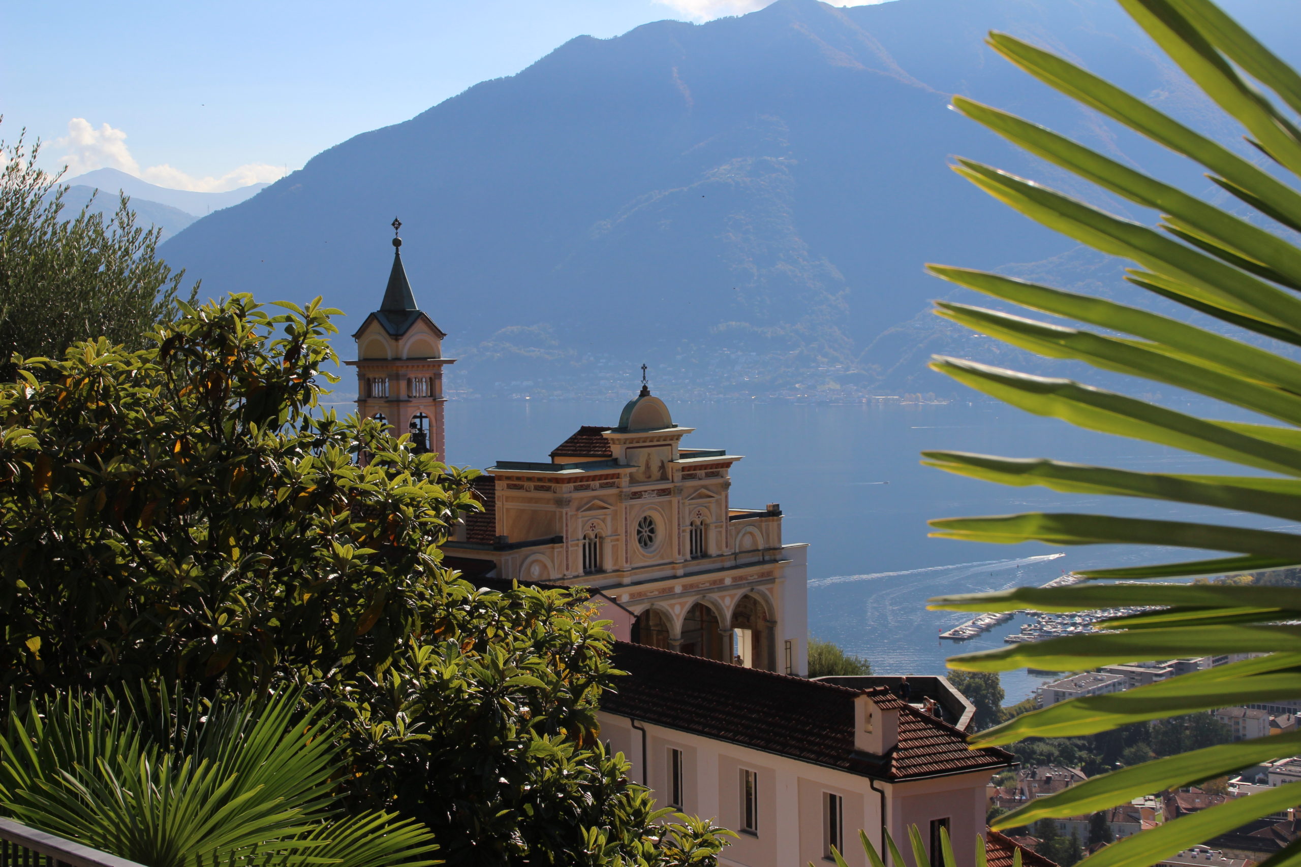 Madonna del Sasso and a palm tree