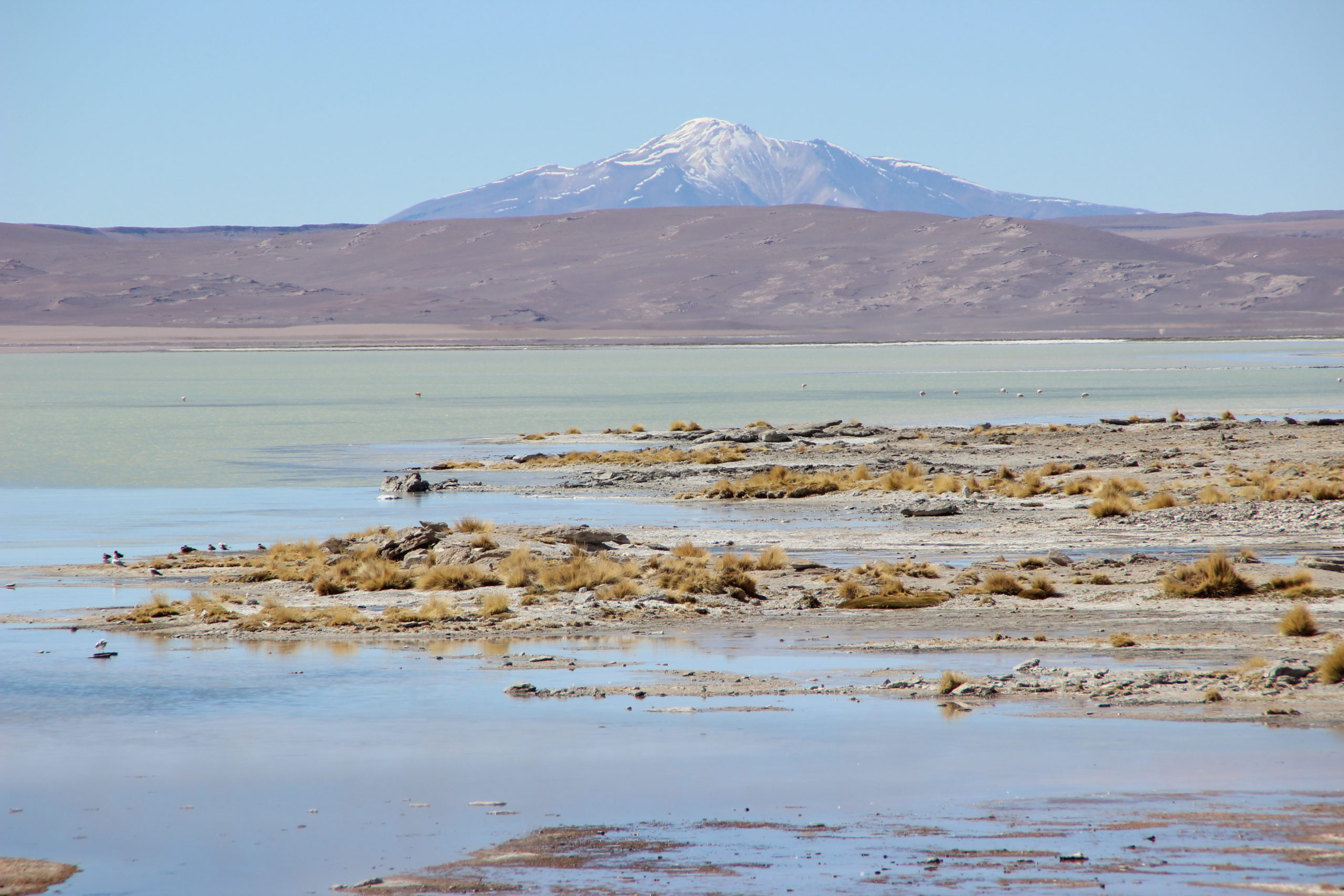 The gorgeous Laguna Polques