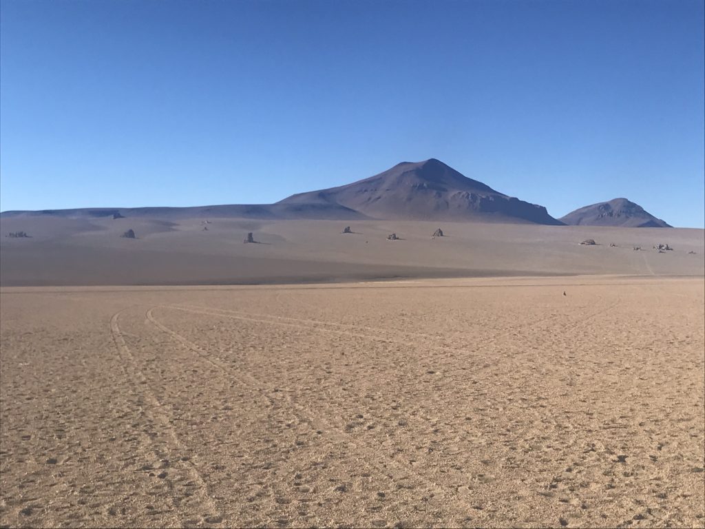 Salvador Dalí desert