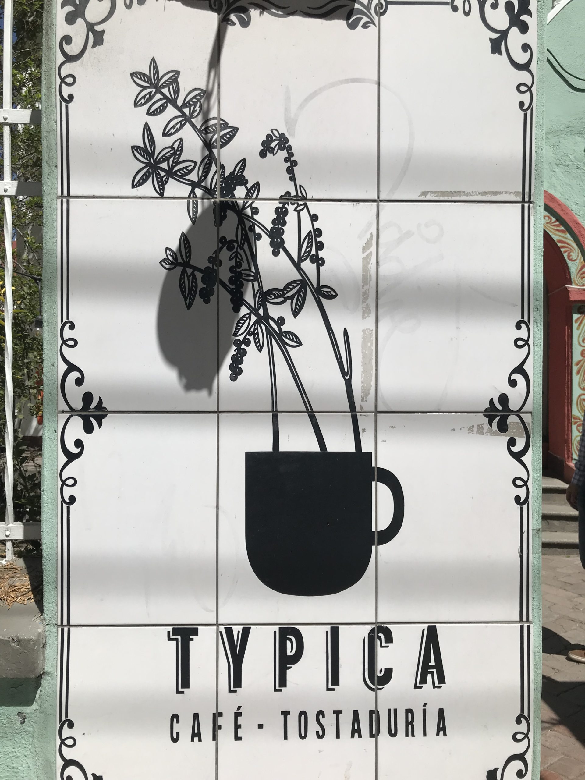 Discovering Typica Café