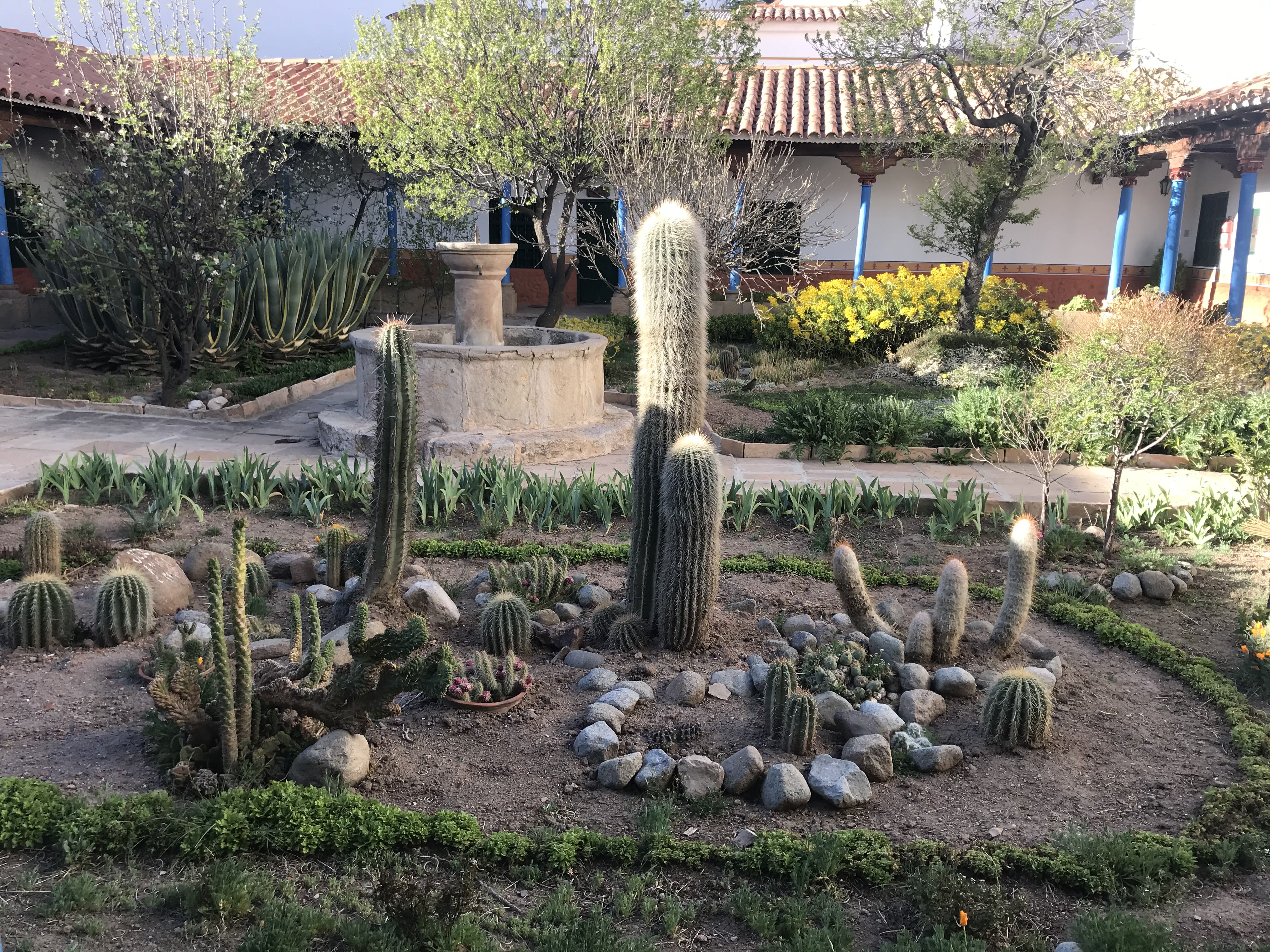 Cactus, One of the beautifu patios, Entrance, Convento de Santa Teresa