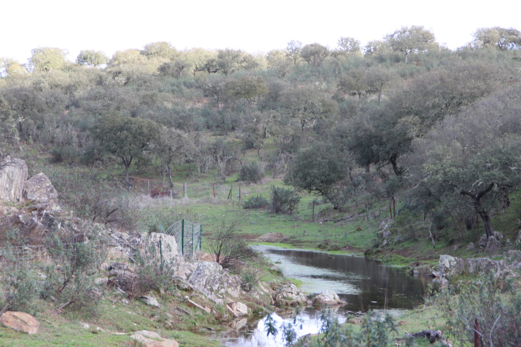 A peaceful river