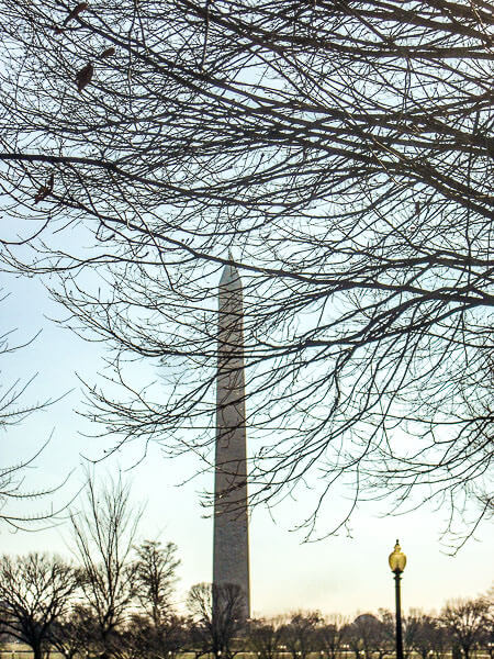 The Washington Monument
