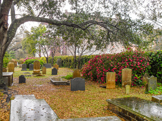 A lush cemetery in Charleston