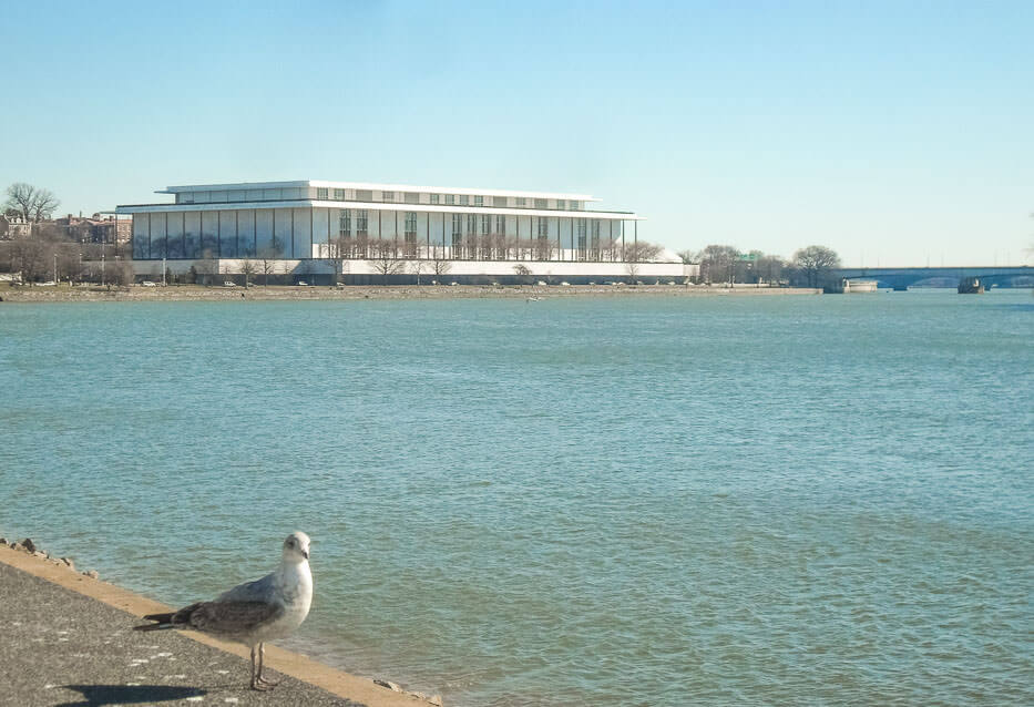 A seagull poses with the Kennedy Center in the background