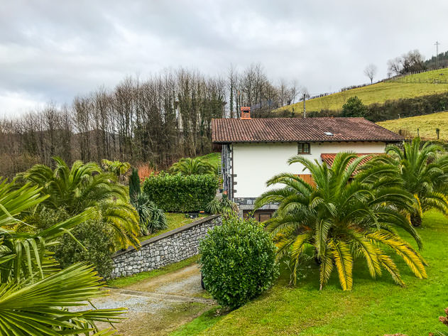 Lush nature on a grey day in Lesaka