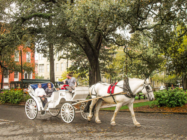 Many visitors like to take a ride on a horse-drawn carriage
