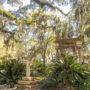The Bonaventure Cemetery in Savannah is full of Spanish moss and lush vegetation