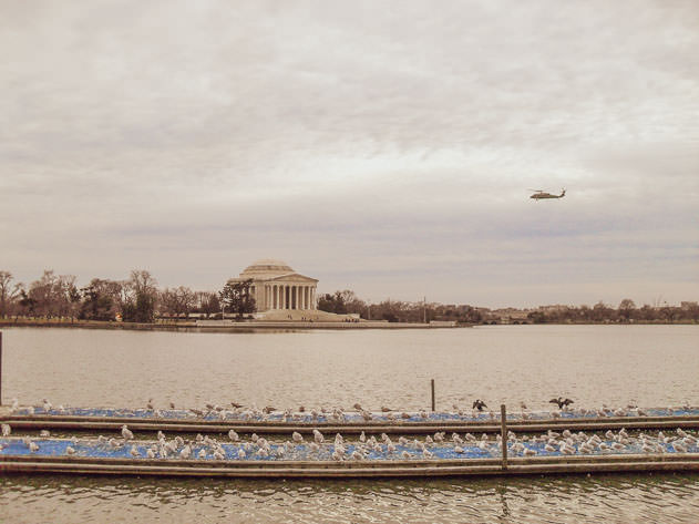 A helicopter flying over the Tidal Basin