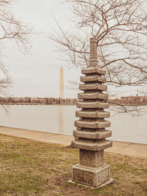 The Japanese pagoda with the Washington Monument in the background