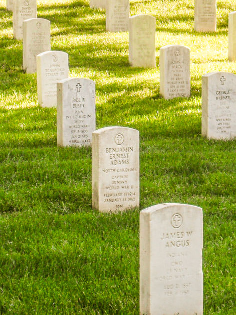 The white gravestones are a feature of the Arlington National Cemetery