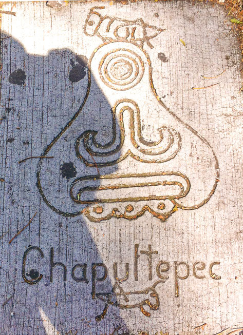 On the way to the Chapultepec castle