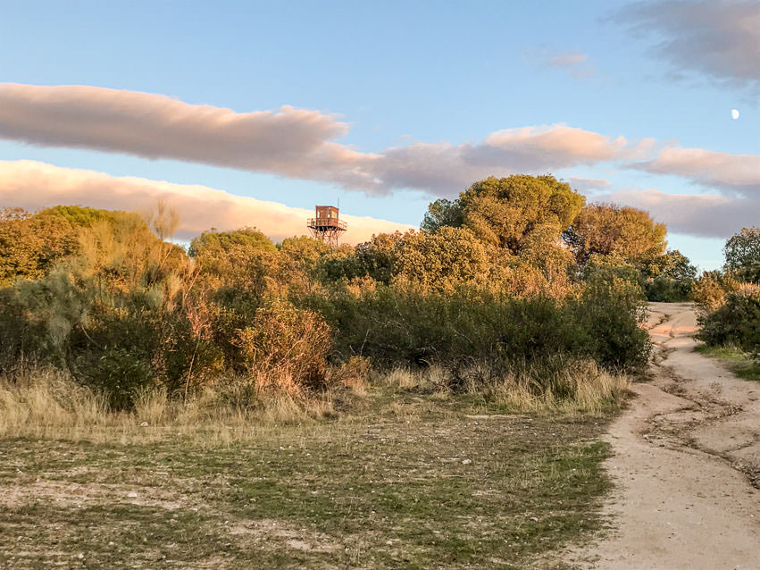 Monte del Pilar is one of my favorite spots in Majadahonda