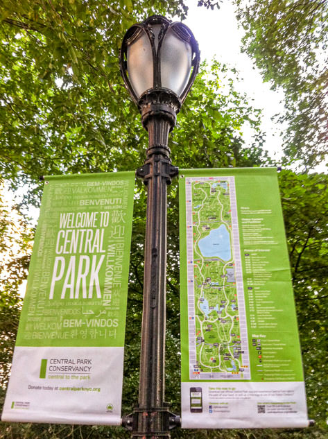 Central Park is one of the biggest parks of the world