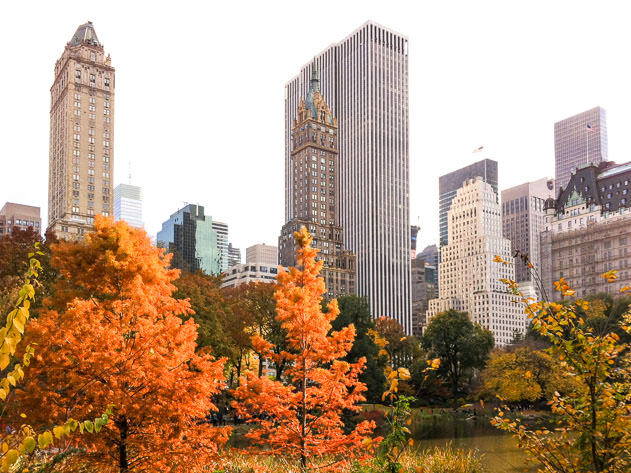 How beautiful is the fall foliage in Central Park?
