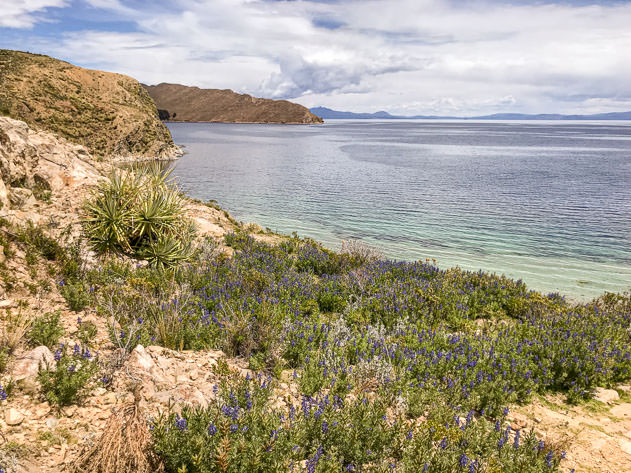 This beautiful coastline in Challapampa reminded me of the Mediterranean