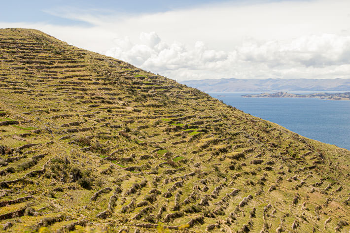 Sukakullos abound around the lake Titicaca area