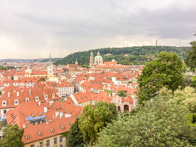 A gorgeous view over the roofs of Prague