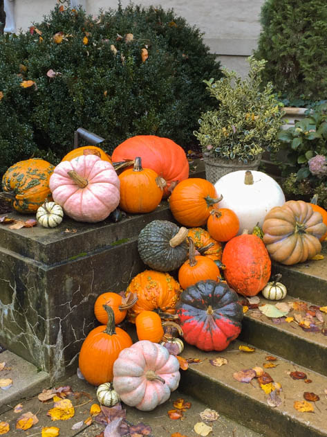 How cute are these pumpkins?
