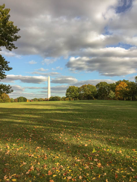 The Washington Monument from a distance