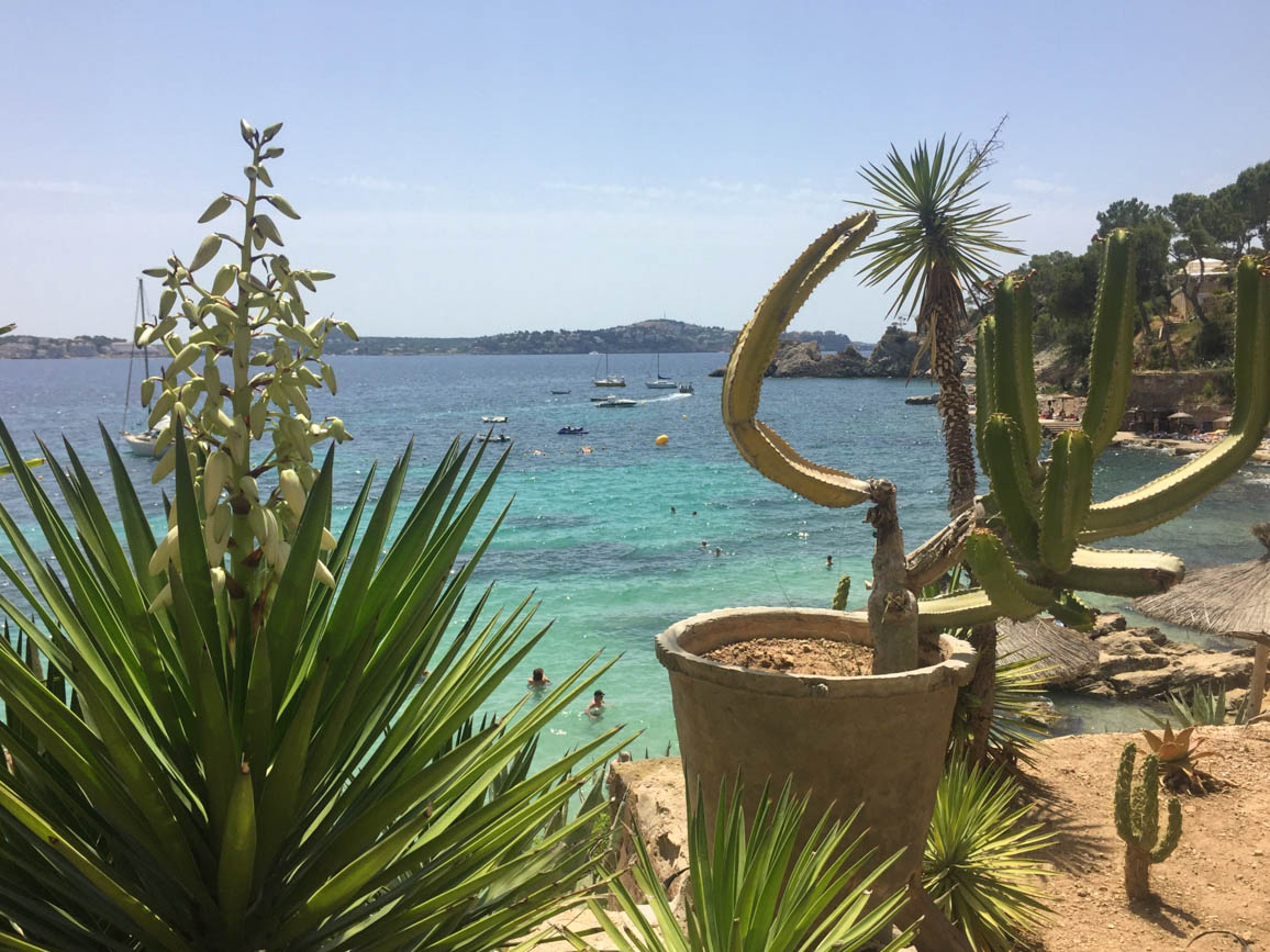 Cala Fornells is one of the main attractions in Mallorca