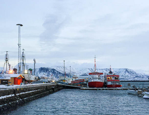Reykjavik harbor