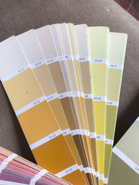 Various paint color options