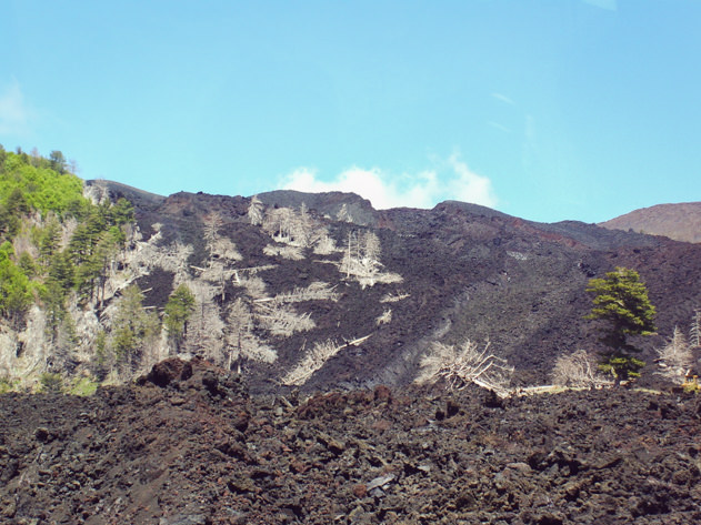 Devastated landscape in Mount Etna