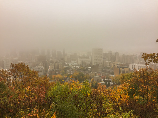 The view of Montreal from Mont Royal