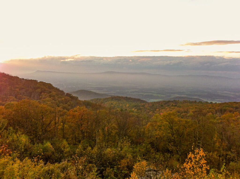 I fell in love with all these warm tones during the fall in Shenandoah