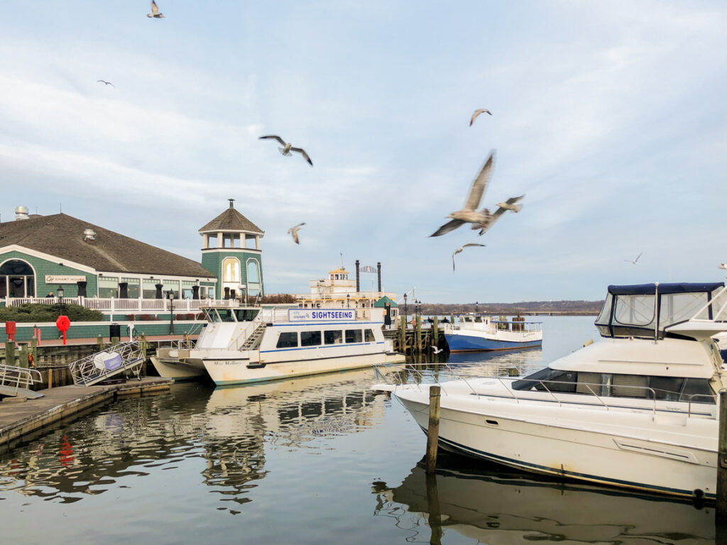 9 things to see and do in Alexandria (Virginia)