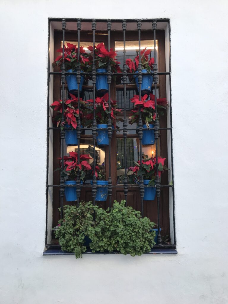Colorful flowers hanging on a window
