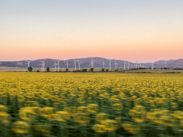 Wind turbines abound in the Tarifa area