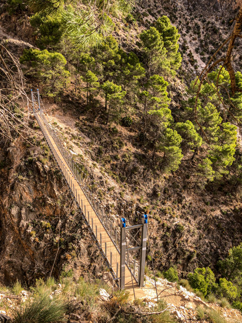 El Saltillo suspension bridge