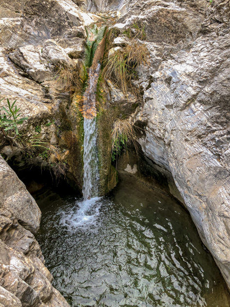 Pools near El Saltillo