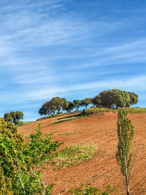 The contrasting landscapes in the province of Guadalajara were my favorite during this Spain road trip!