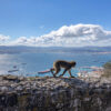 Top things to do in Gibraltar