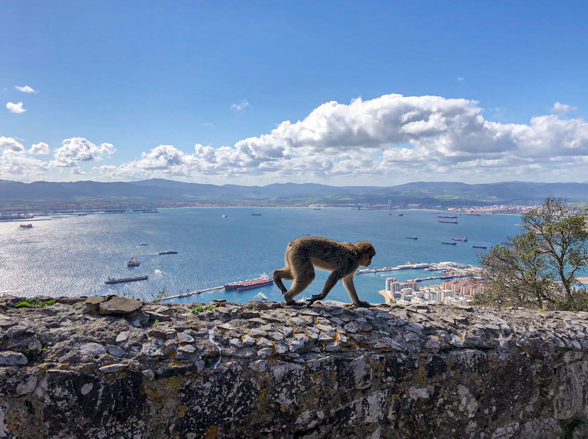 Top things to do in Gibraltar