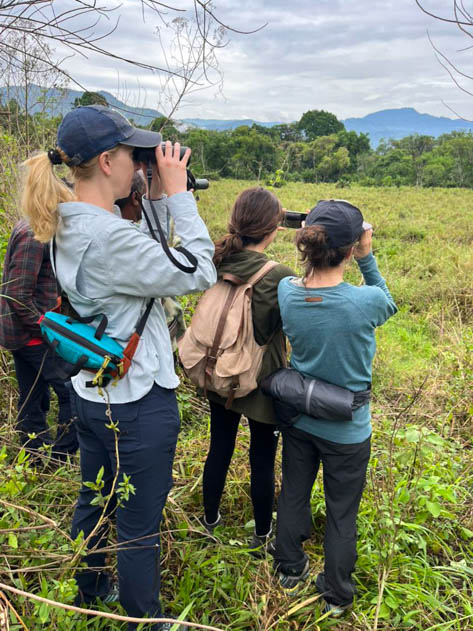 Observing wildlife in Chebera-Churchura National Park