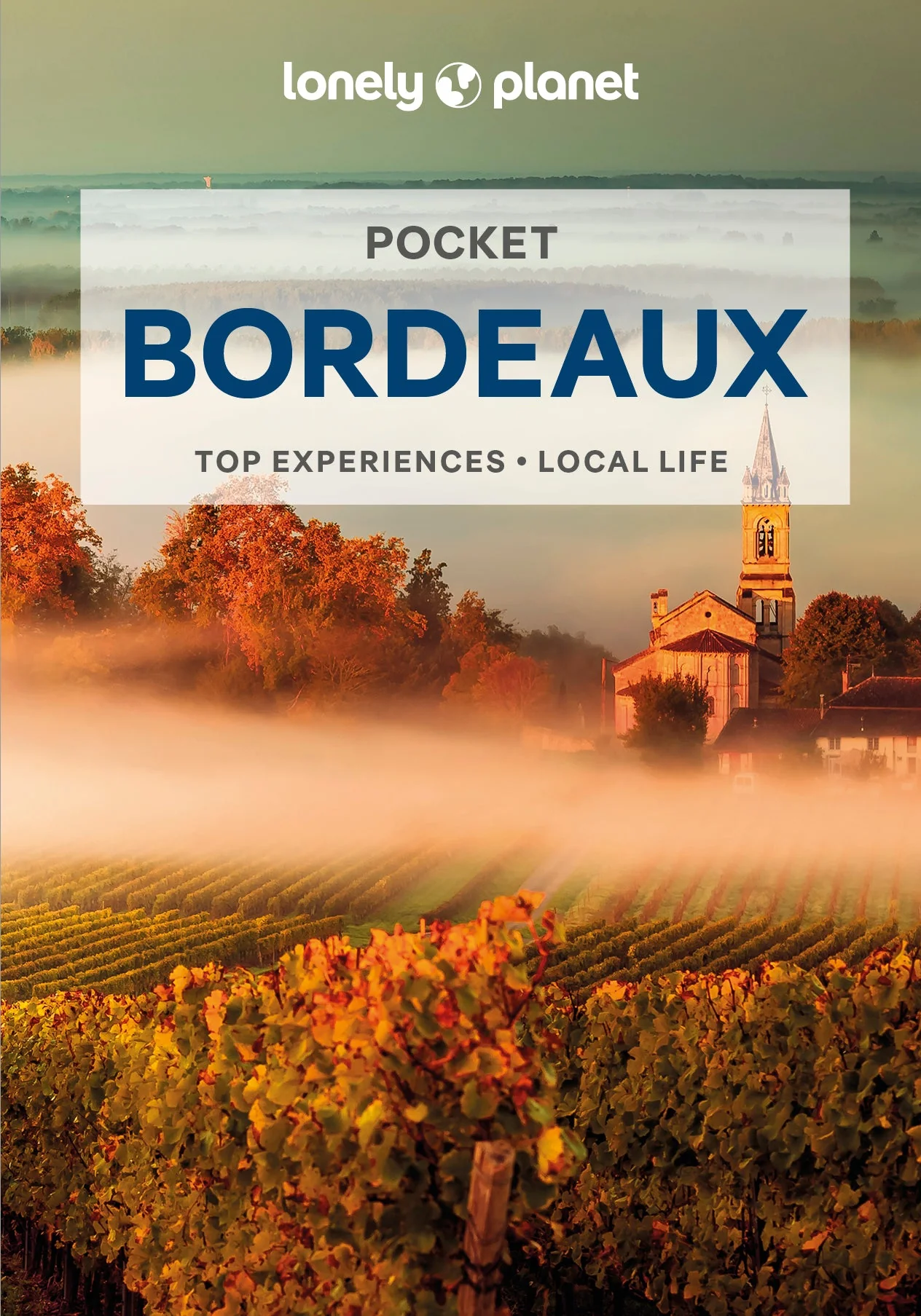 Pocket Bordeaux book by Lonely Planet