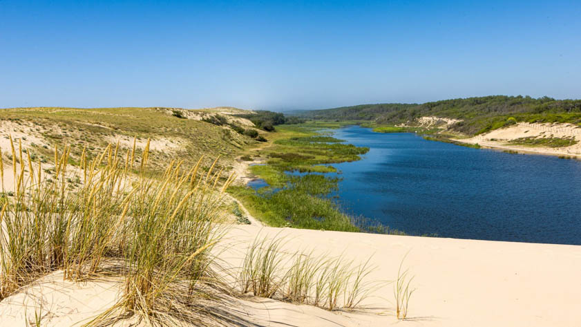 Réserve naturelle du courant d'Huchet (credit: https://www.reservenaturelle-couranthuchet.org/)