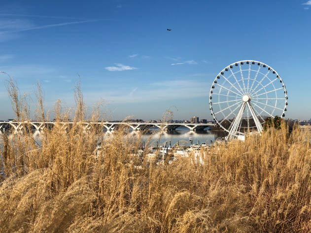 The Capital Wheel at the National Harbor